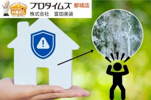 外壁の汚れの原因は？苔・カビ・排気ガス別の対策と再塗装のタイミング