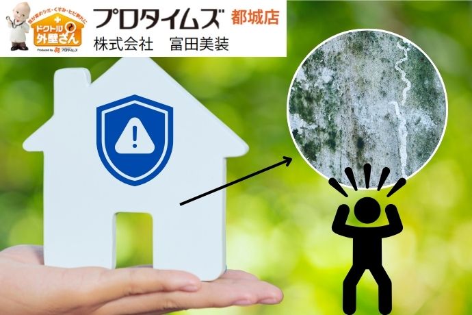 外壁の汚れの原因は？苔・カビ・排気ガス別の対策と再塗装のタイミング